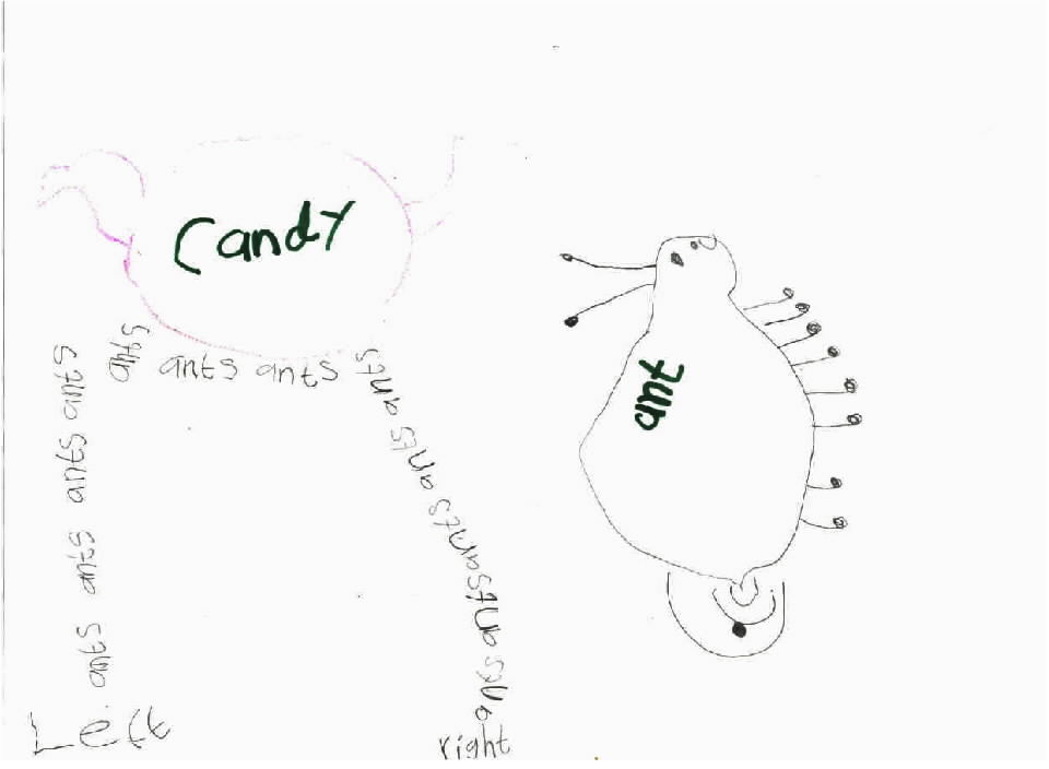 ants.jpg